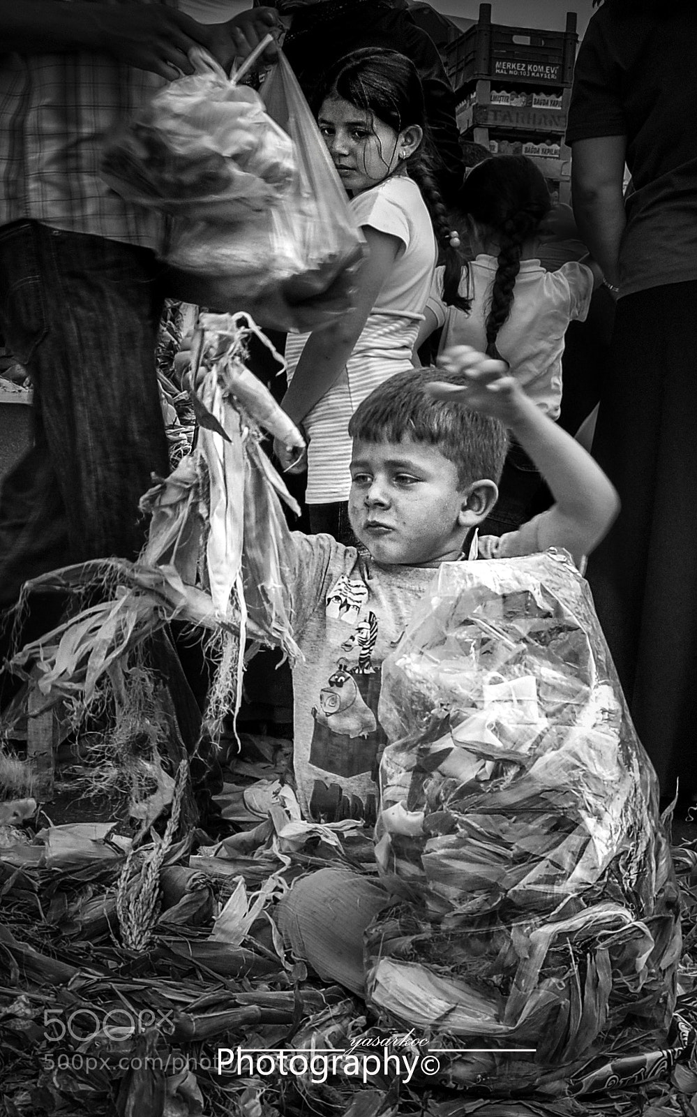 Nikon D90 sample photo. Untitled photography