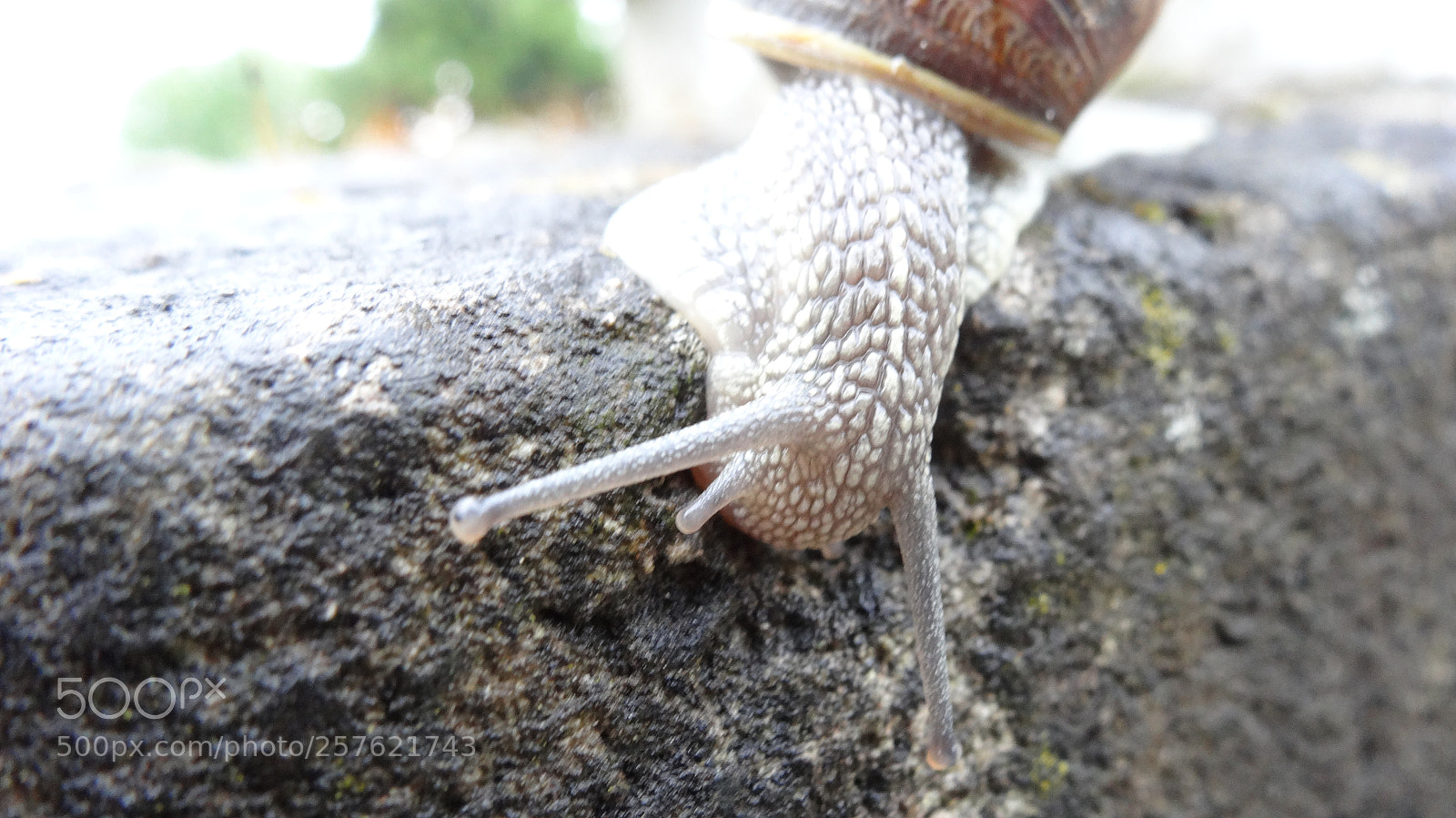 Sony Cyber-shot DSC-HX20V sample photo. Keep going on photography