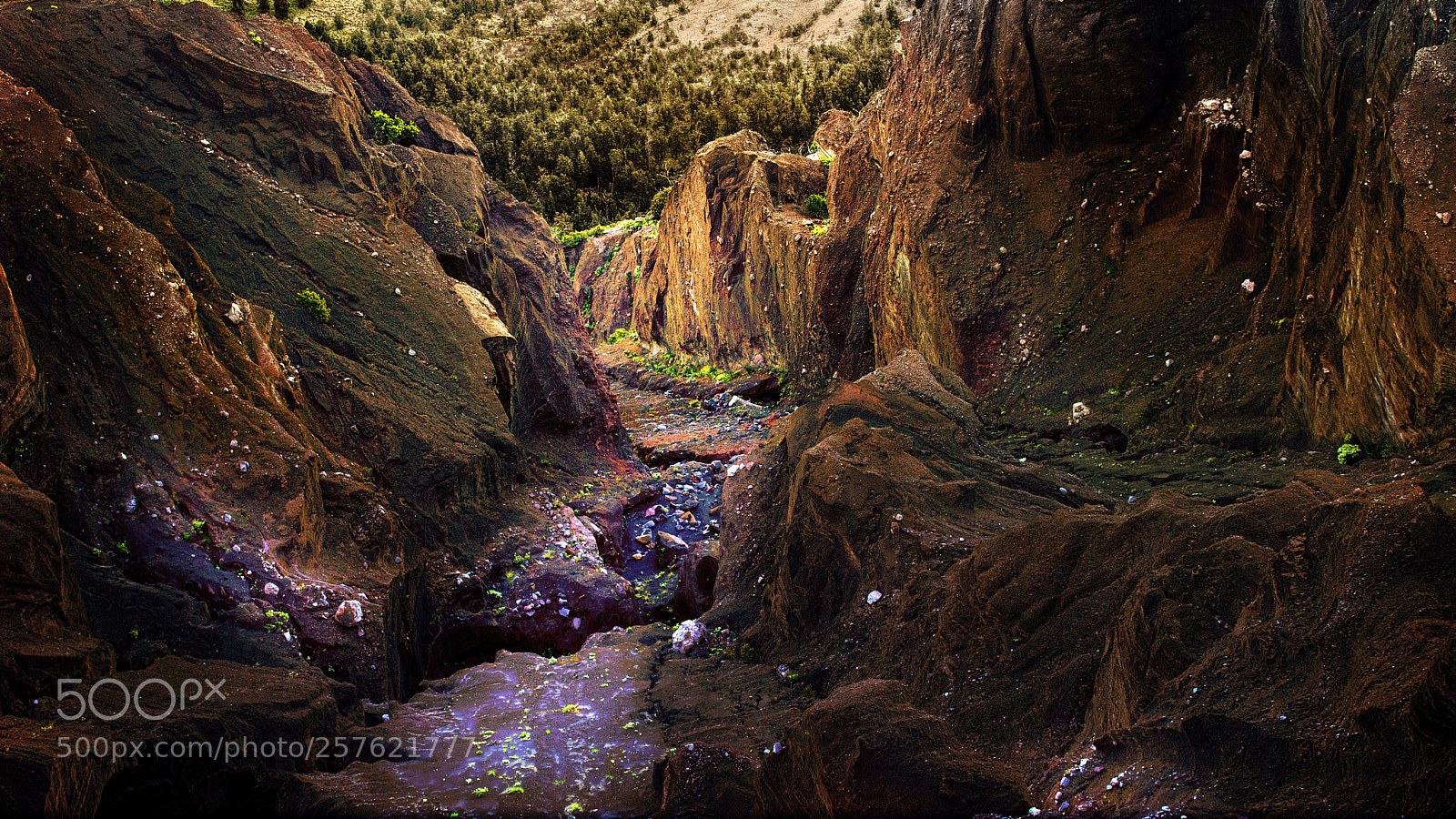 Sony a7 II sample photo. Magic path photography