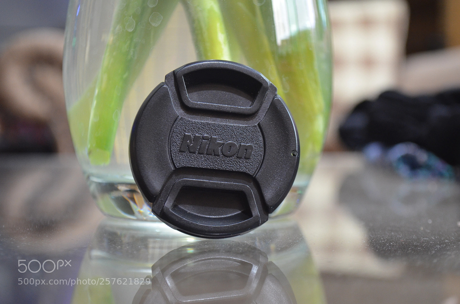 Nikon D5100 sample photo. Nikon photography