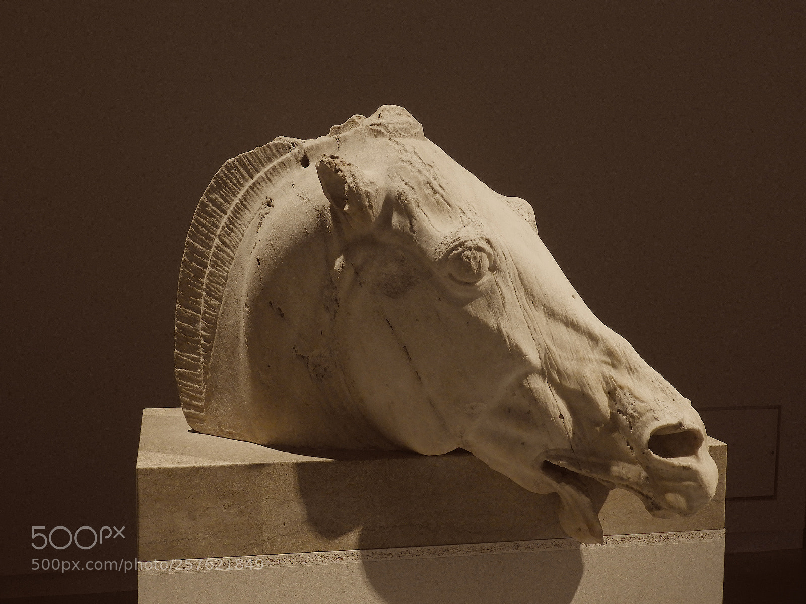 Nikon Coolpix B700 sample photo. Horse of selene photography