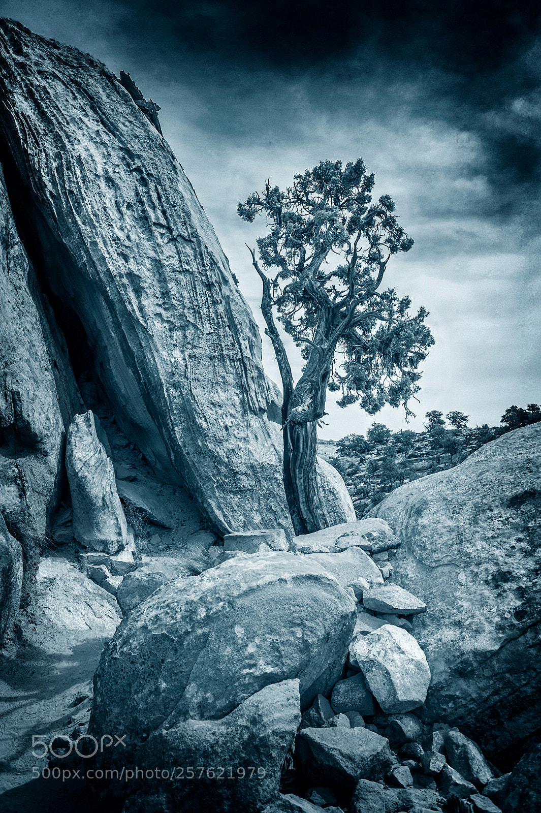 Nikon D700 sample photo. Cohab trail, capitol reef photography