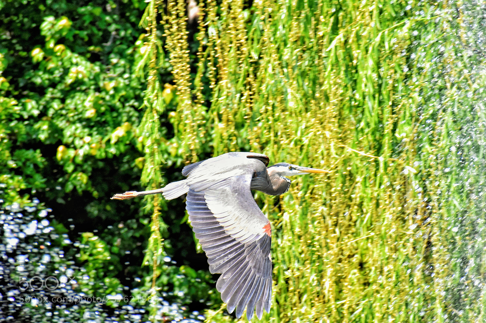 Nikon D5600 sample photo. Untitled photography