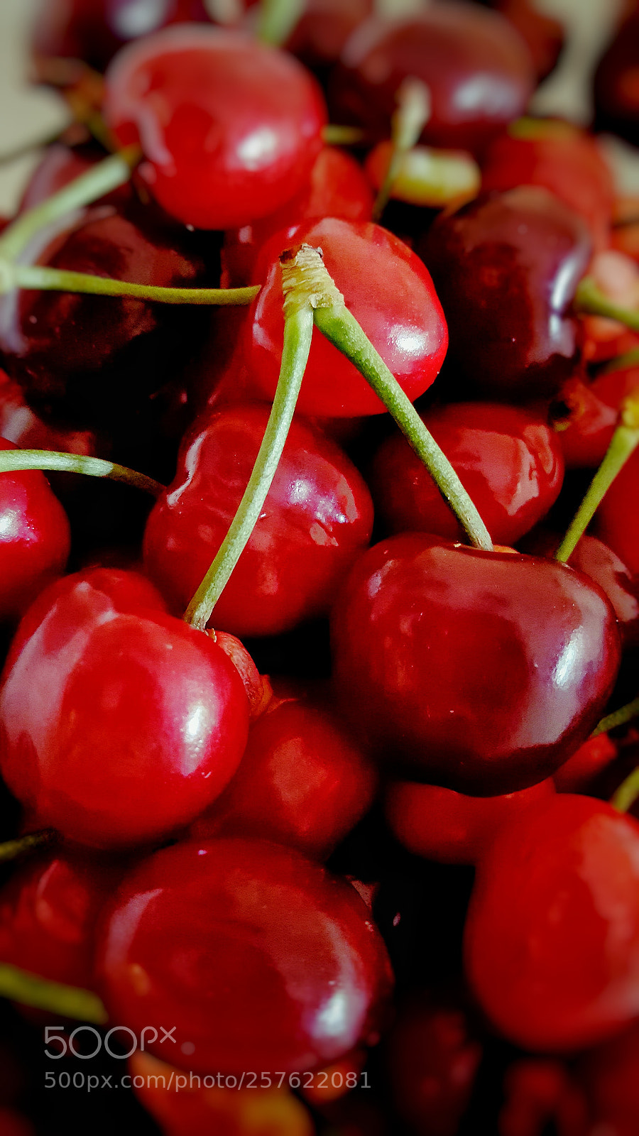 Samsung Galaxy S6 sample photo. Red pasion 2.0 photography