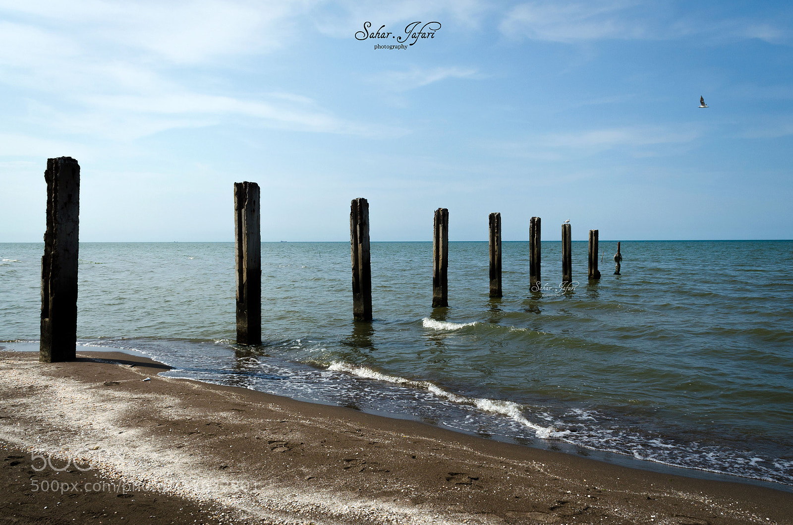 Nikon D5100 sample photo. The beach photography