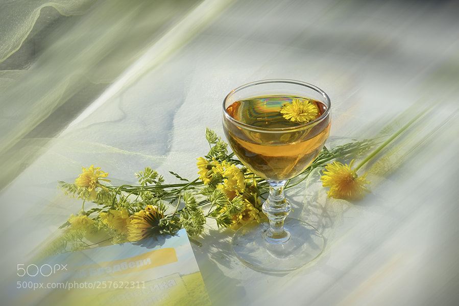 Nikon D5100 sample photo. Wine from dandelions photography