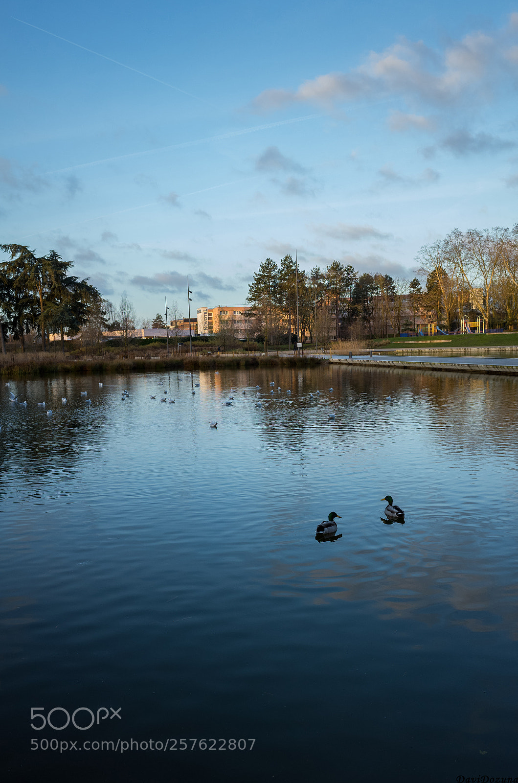 Ricoh GR II sample photo. Cergy, parc de la photography