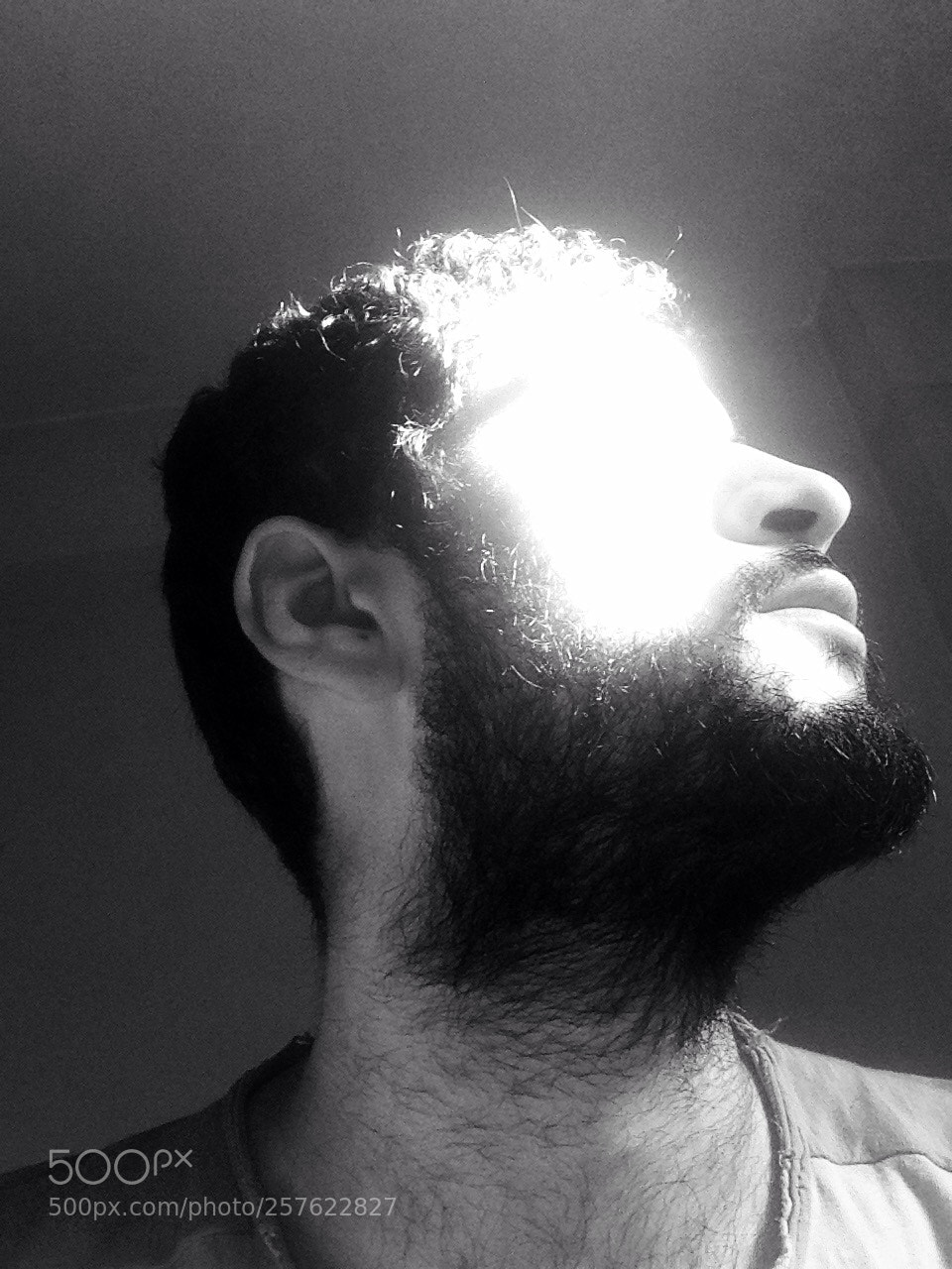 Apple iPhone 5 sample photo. See the light!  photography