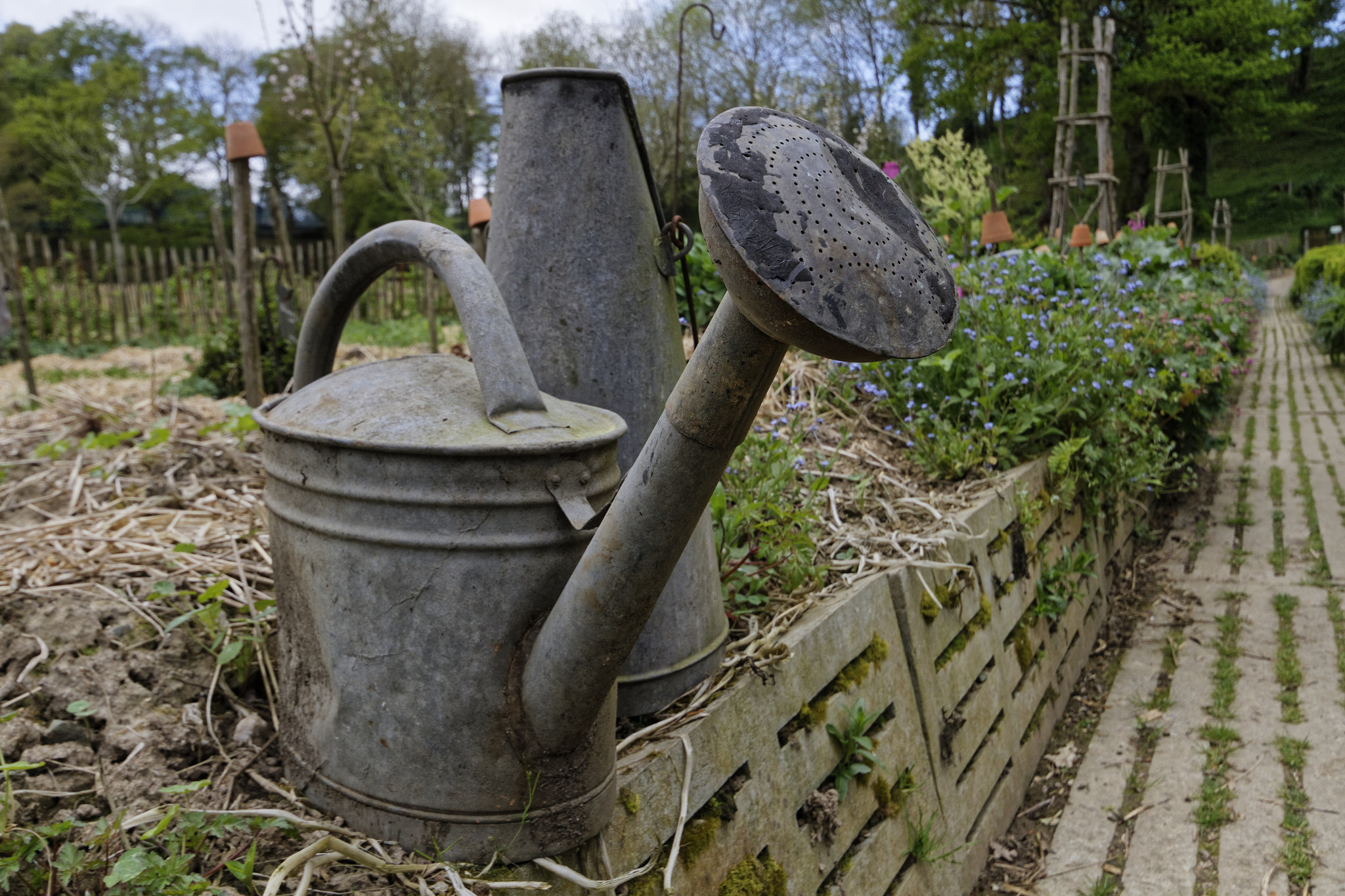 Canon EOS 7D + Sigma 10-20mm F4-5.6 EX DC HSM sample photo. Vintage objects photography