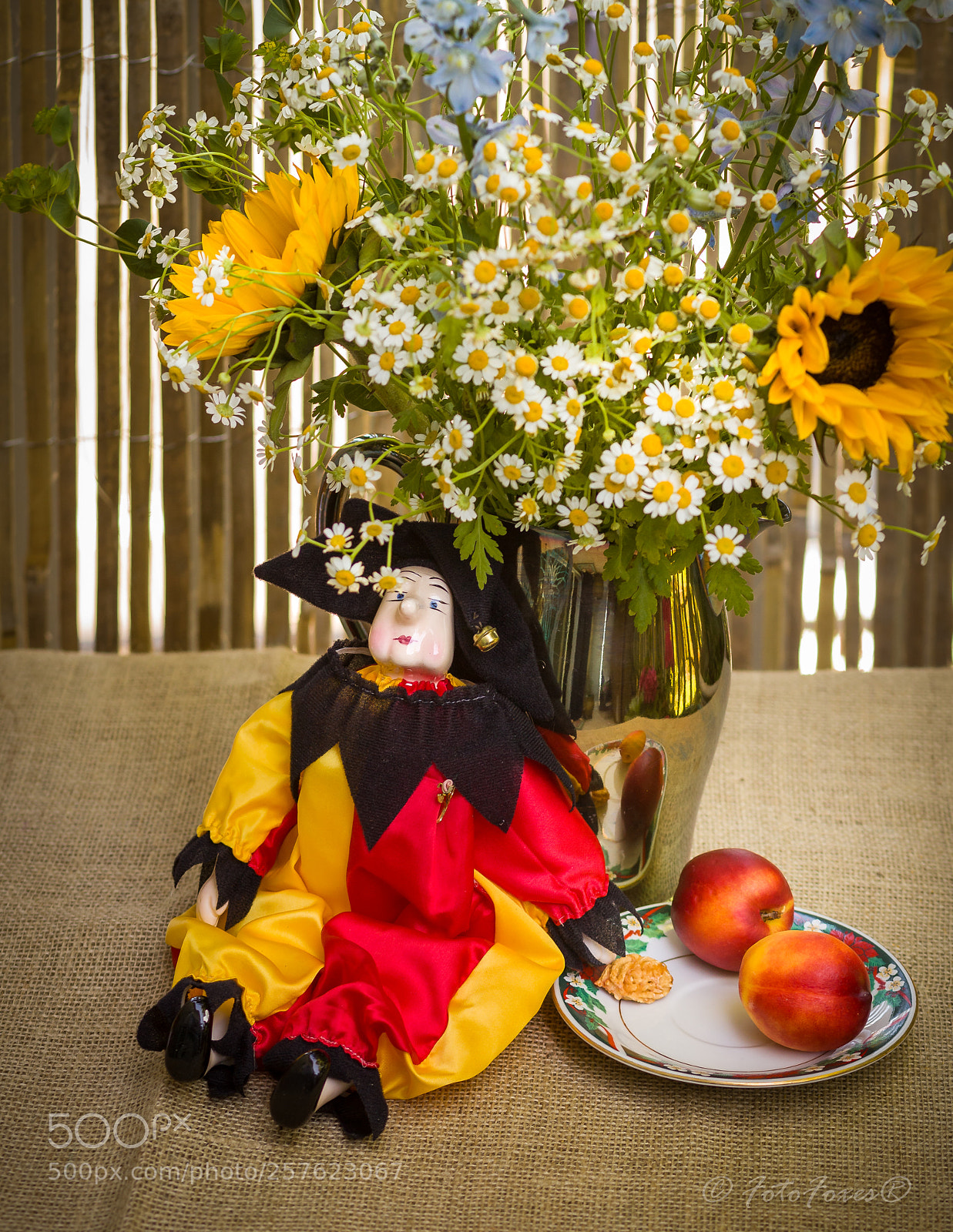 Canon EOS 5D Mark II sample photo. Arlekin: resting after breakfast photography