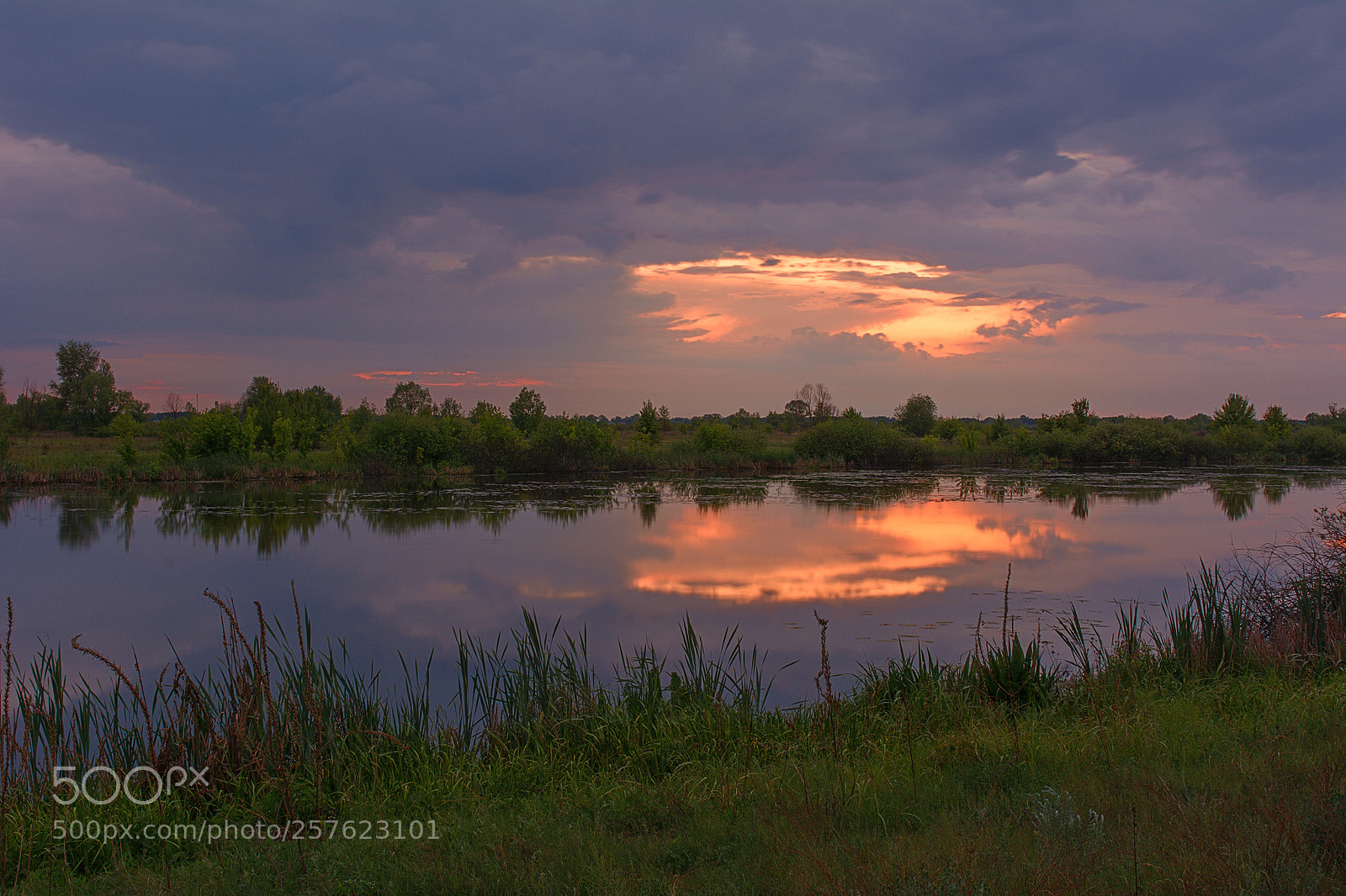 Nikon D7100 sample photo. Evening after thunderstorms photography