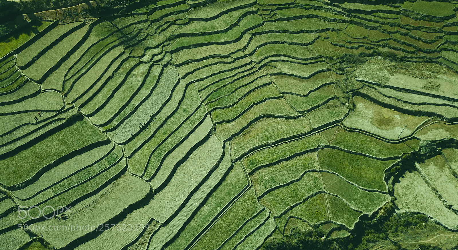 DJI FC220 sample photo. Pattern photography