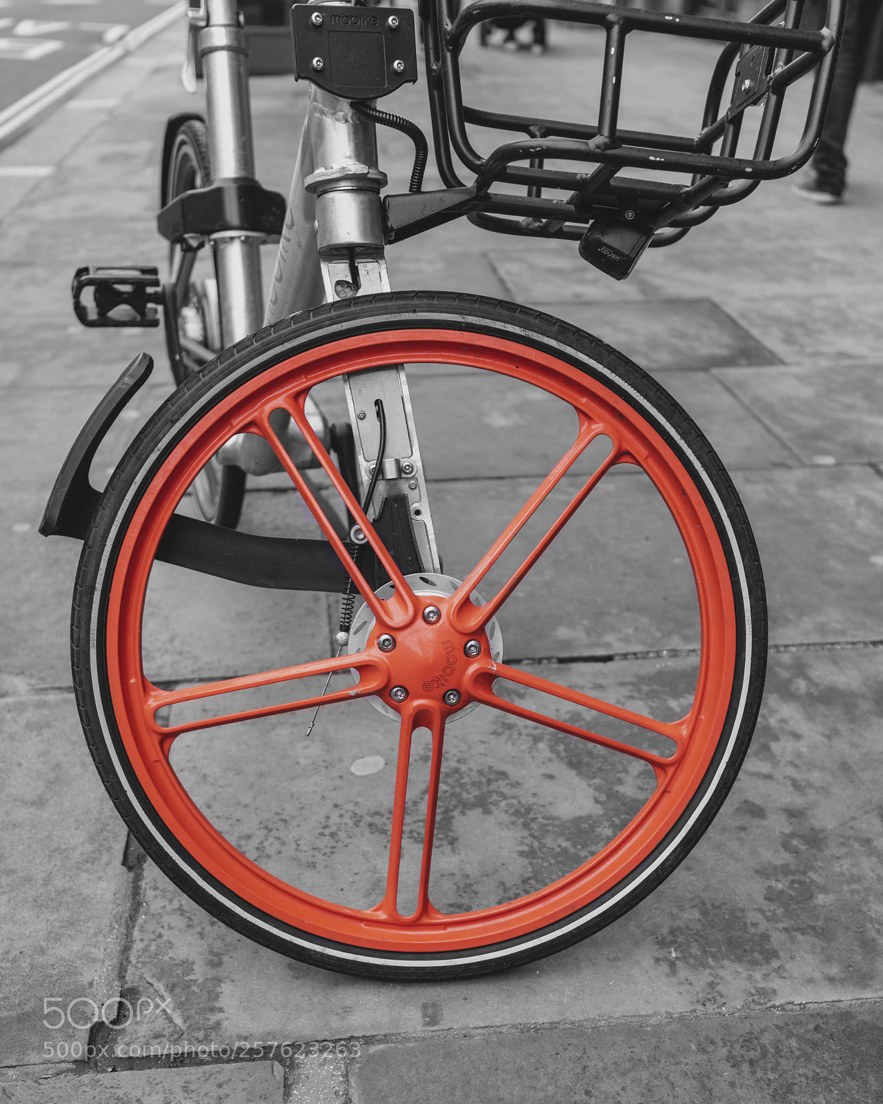 Nikon D810 sample photo. Orange photography