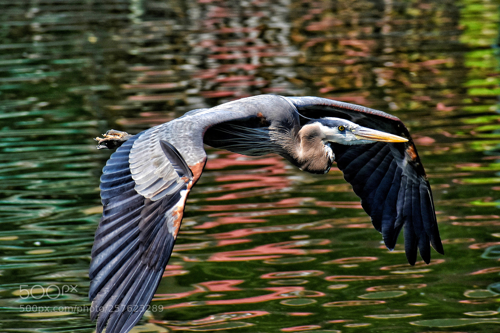 Nikon D5600 sample photo. Untitled photography