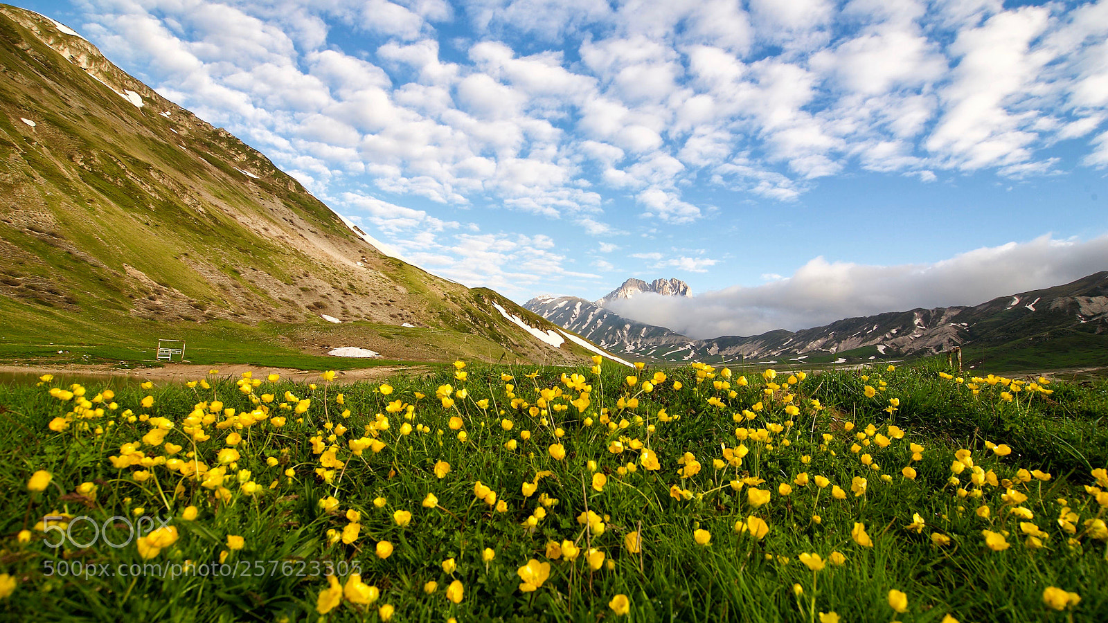Nikon D700 sample photo. Campo imperatore - spring photography