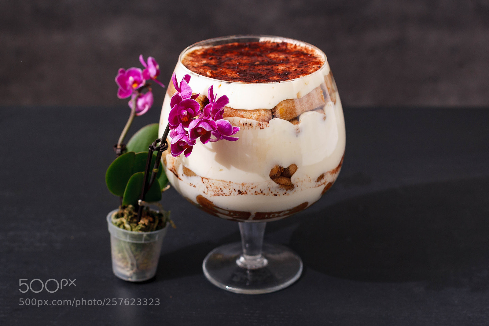 Canon EOS-1Ds Mark II sample photo. Tiramisu photography