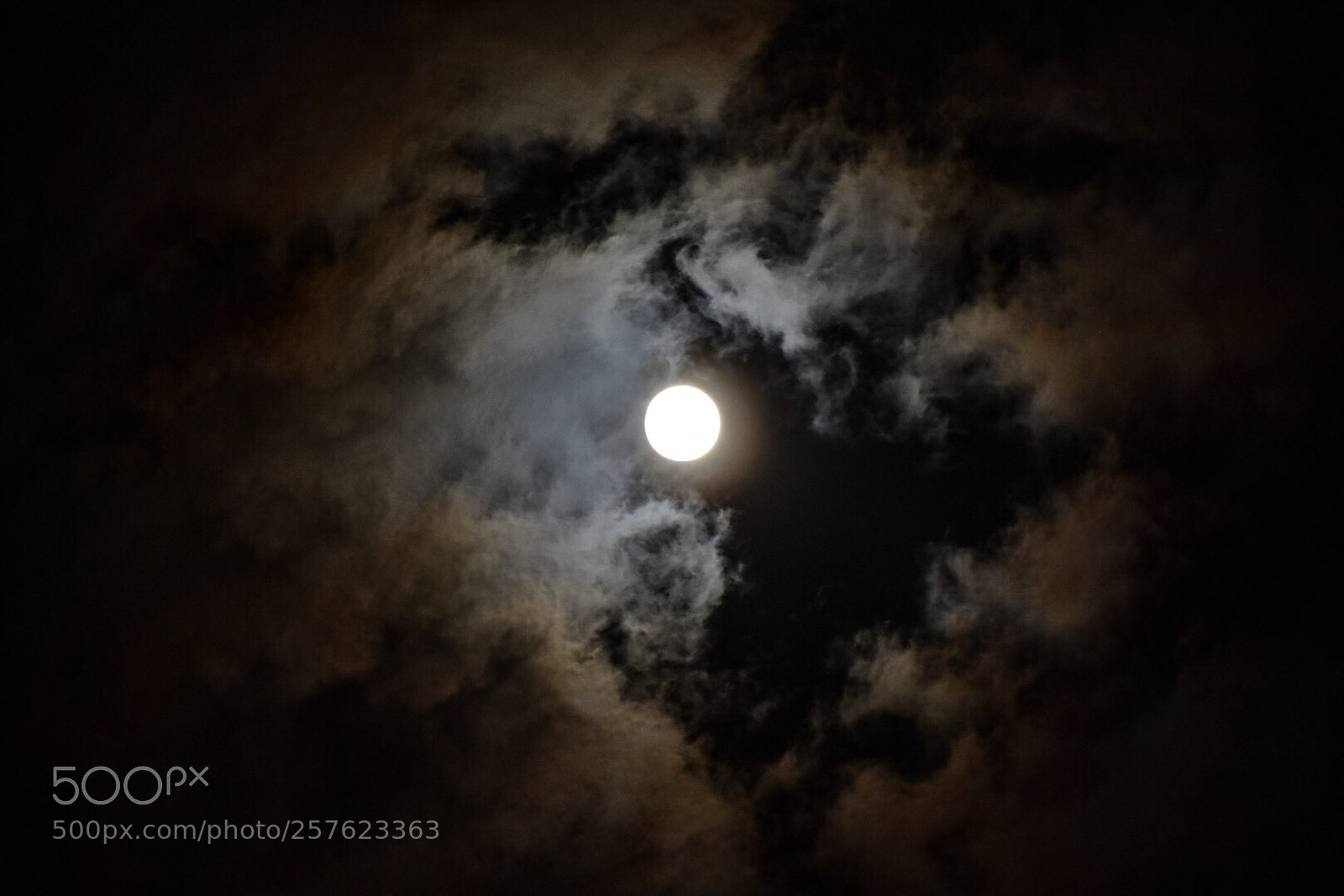 Nikon D7200 sample photo. Untitled photography