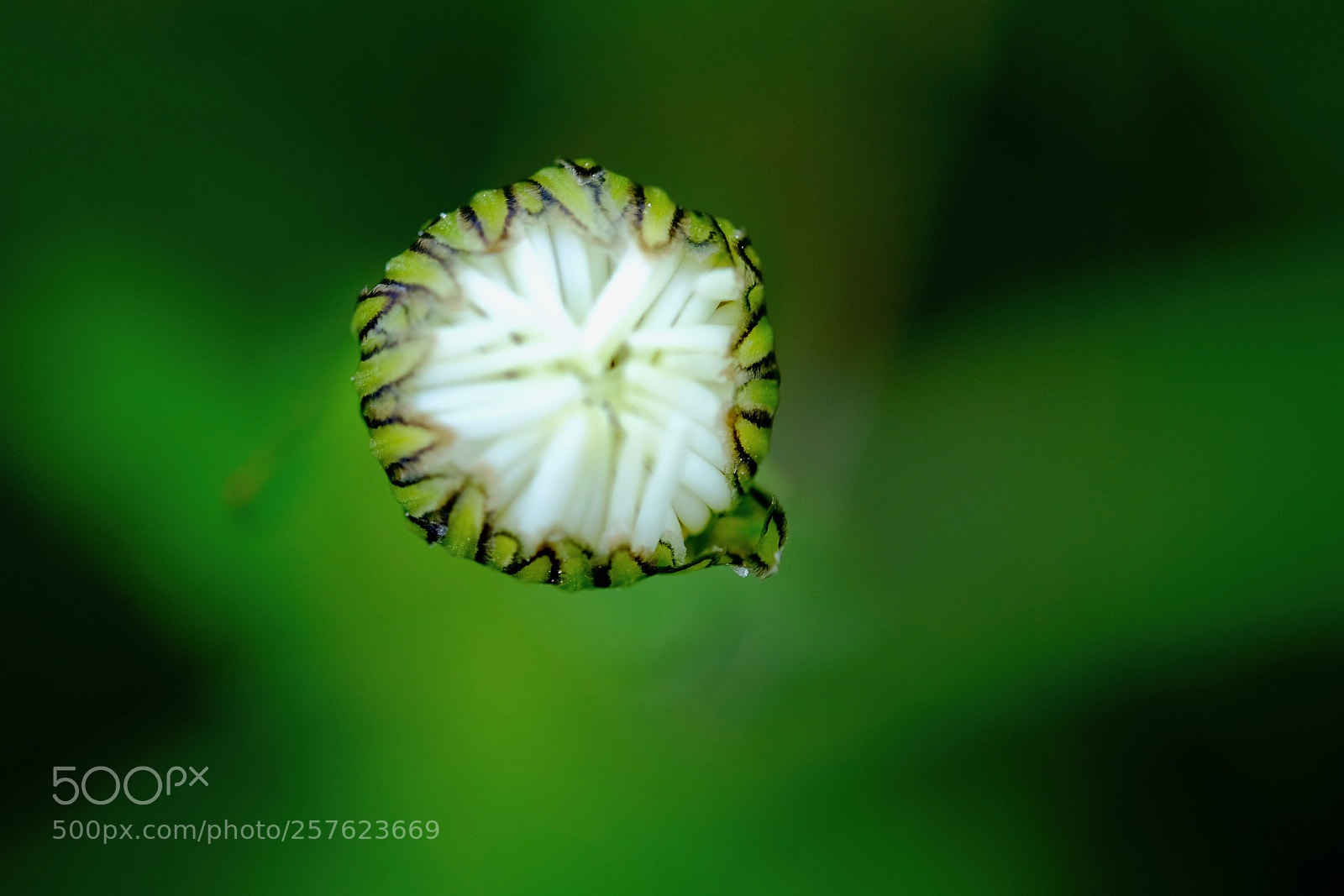 Fujifilm X-T2 sample photo. . photography