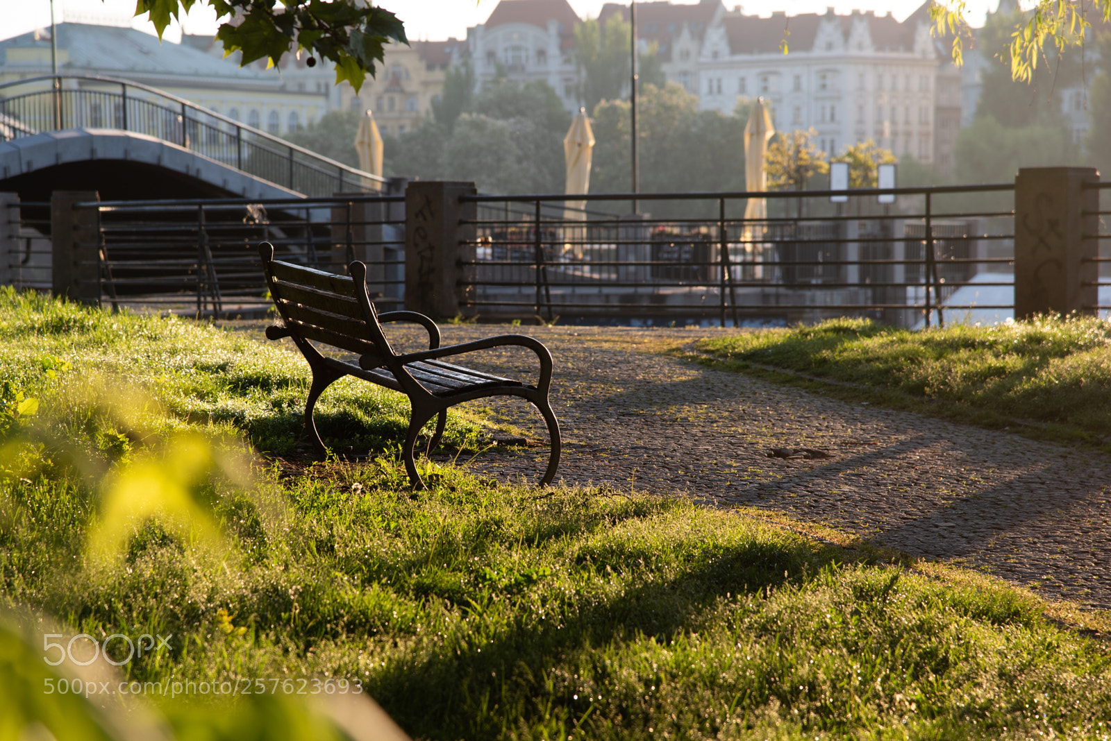 Nikon D750 sample photo. Bench photography