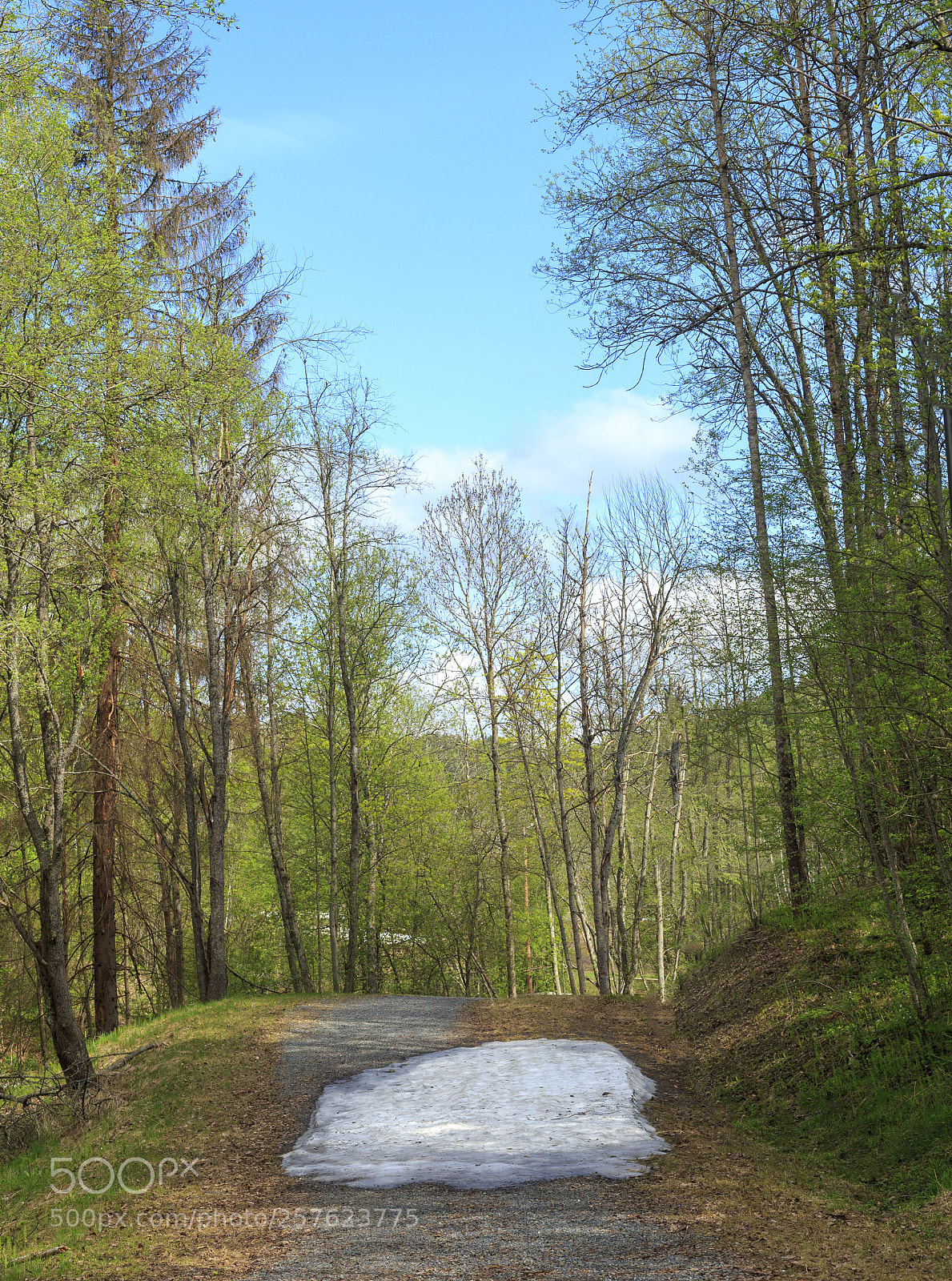 Canon EOS 6D sample photo. The last snow in photography