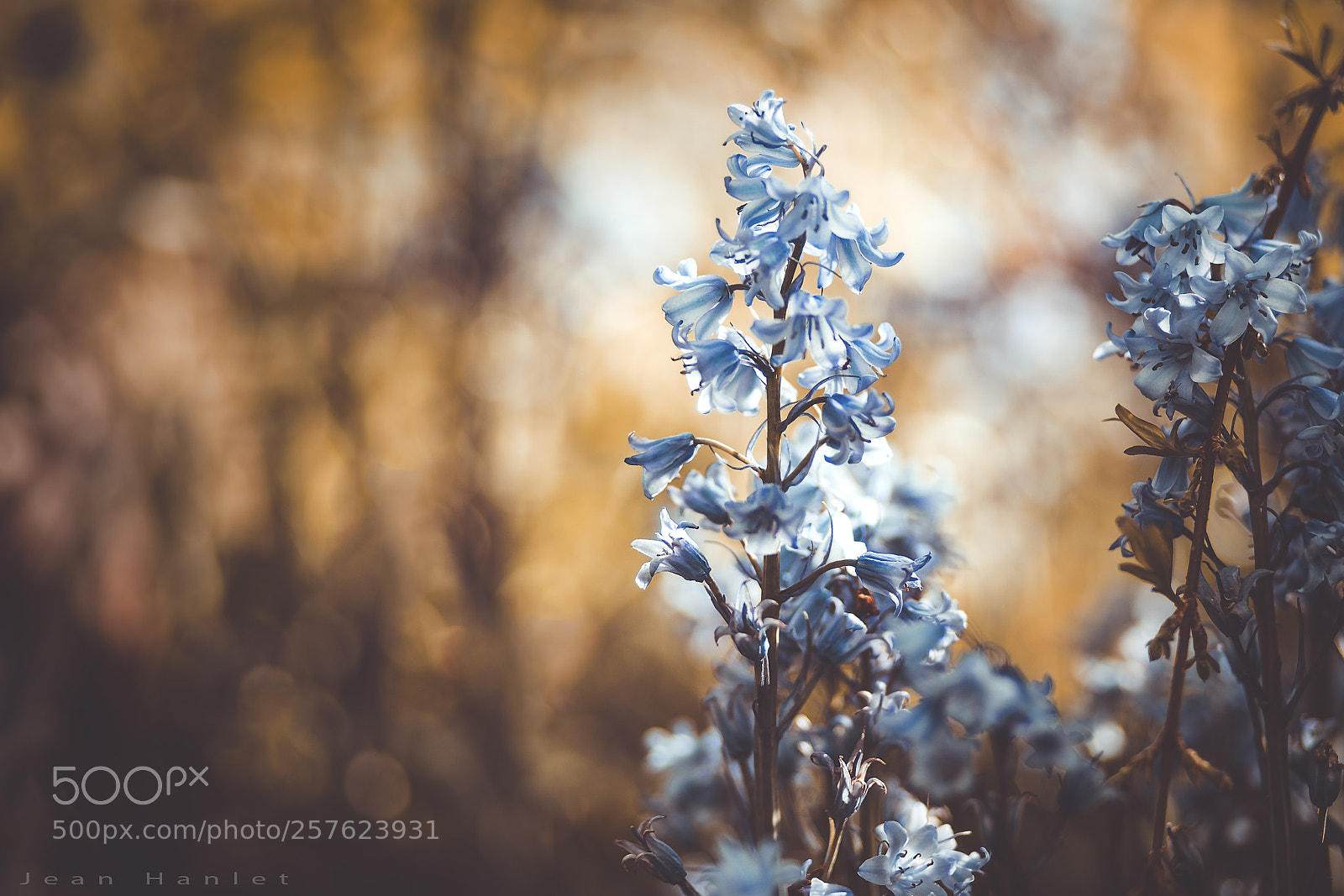 Canon EOS 6D sample photo. Sunny photography