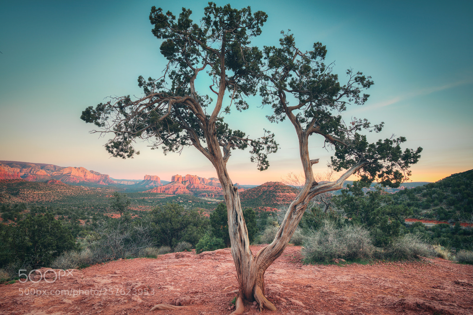 Nikon D800 sample photo. Red rock state park photography