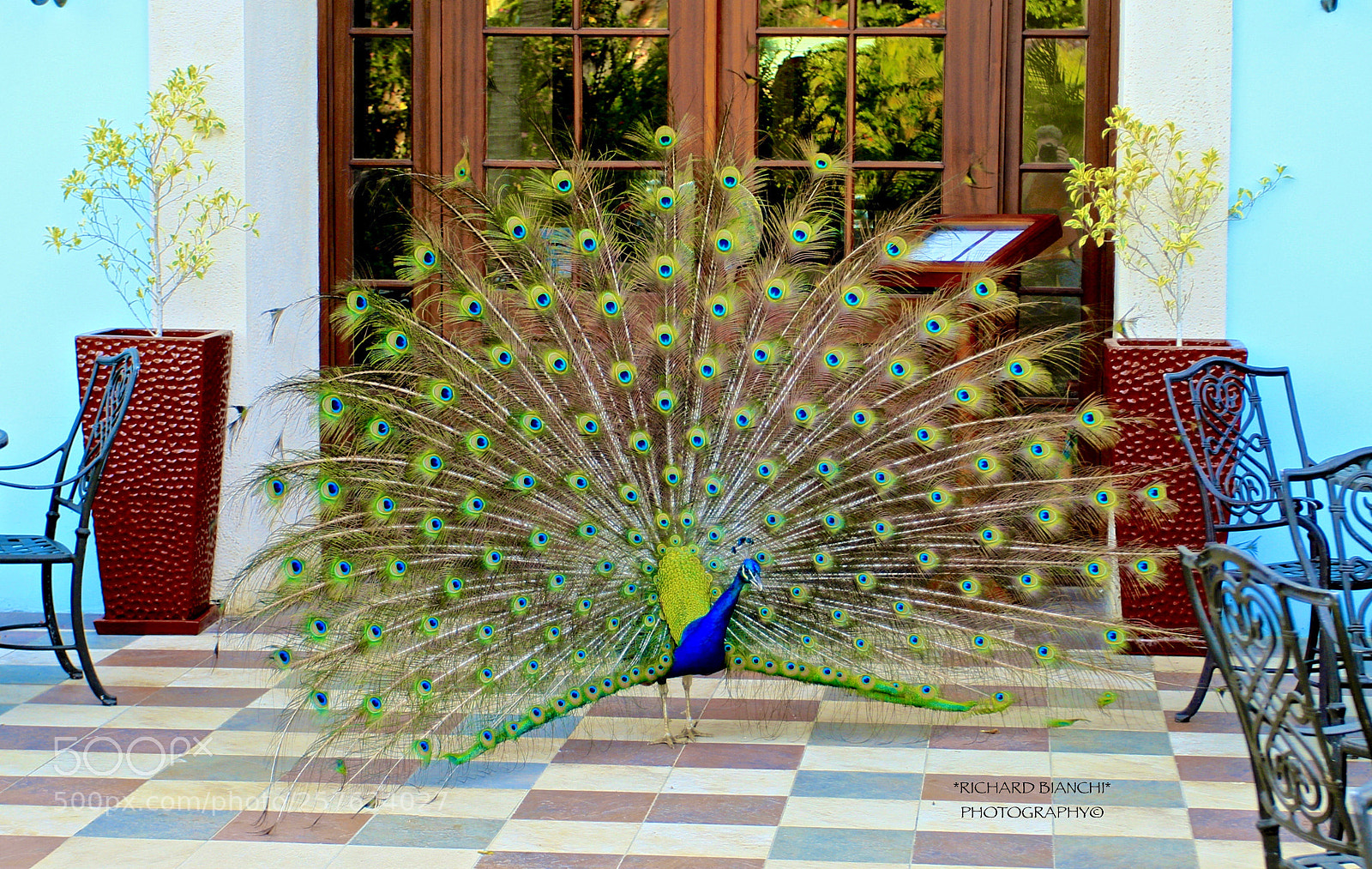 Canon EOS 7D sample photo. Sandals whitehouse jamaica photography