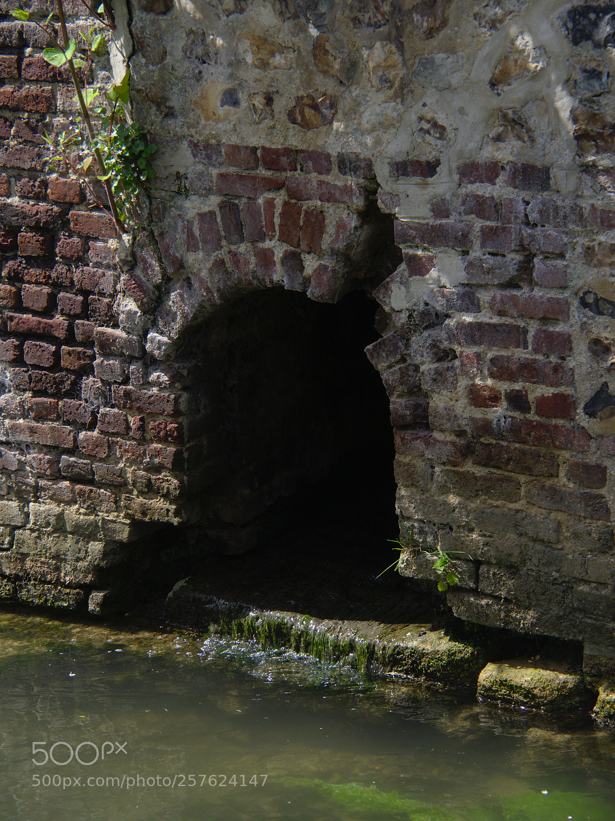 Olympus OM-D E-M10 sample photo. Ruisseau secret photography