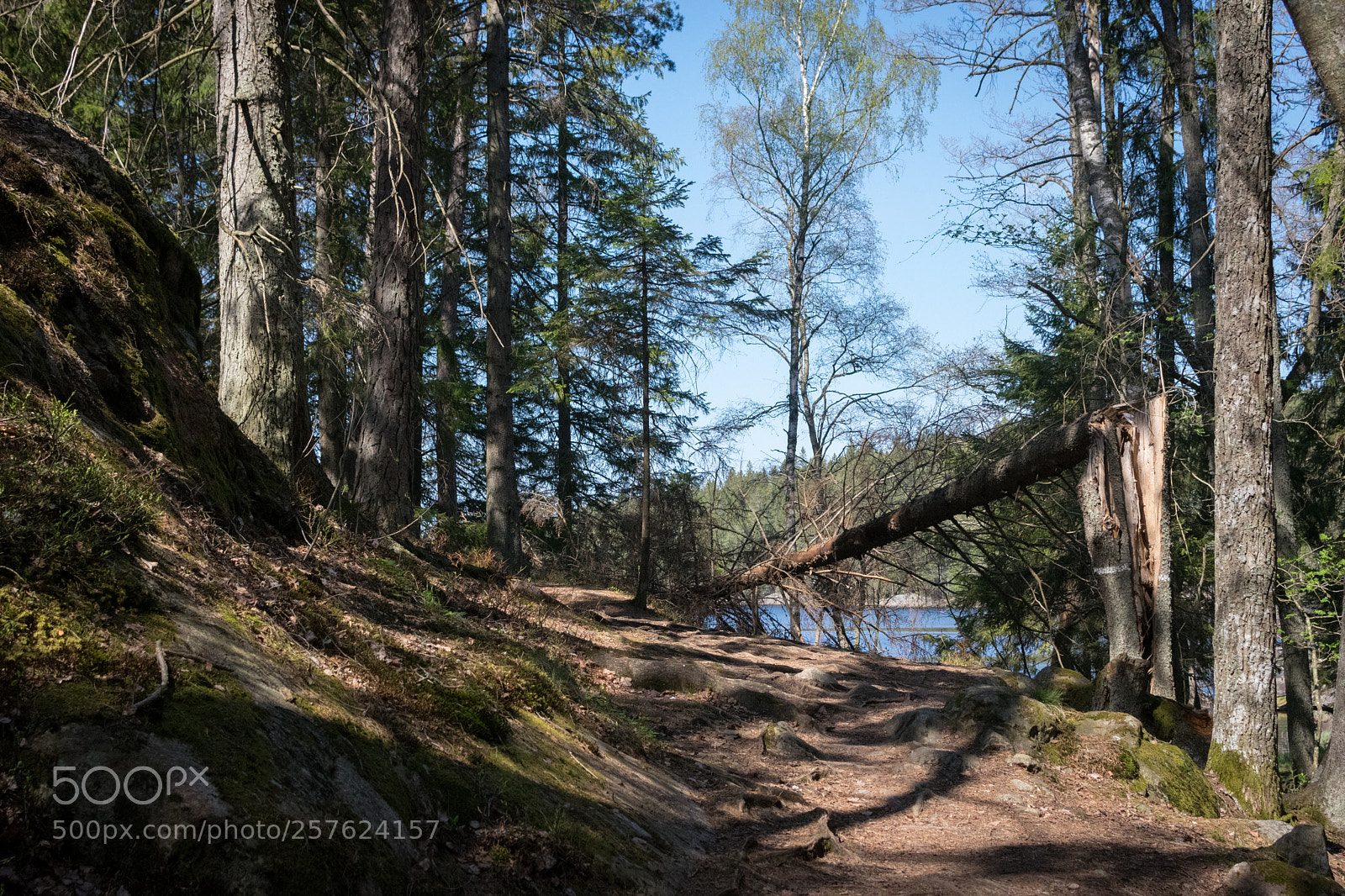 Nikon D3300 sample photo. National park photography