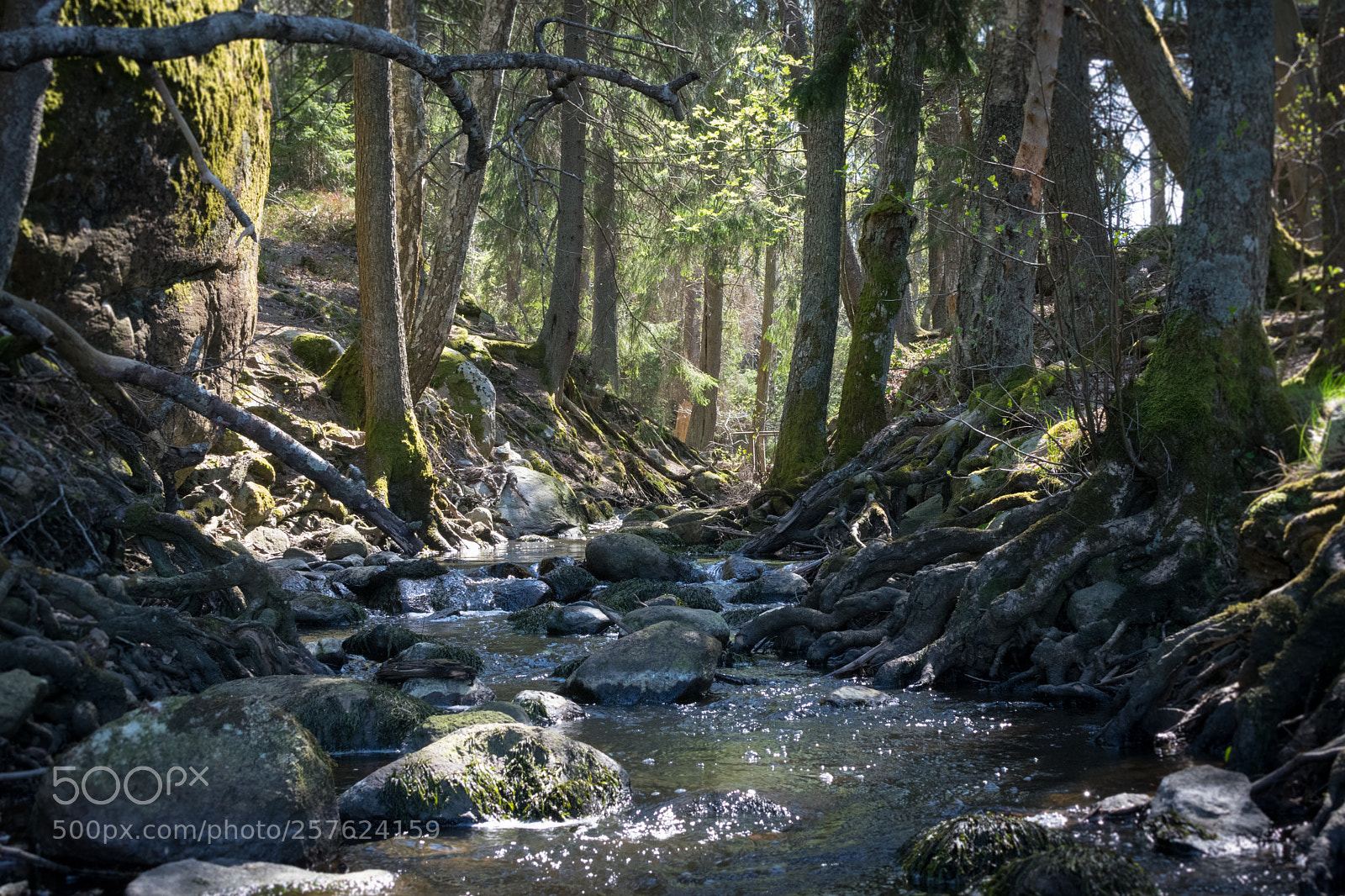 Nikon D3300 sample photo. National park photography