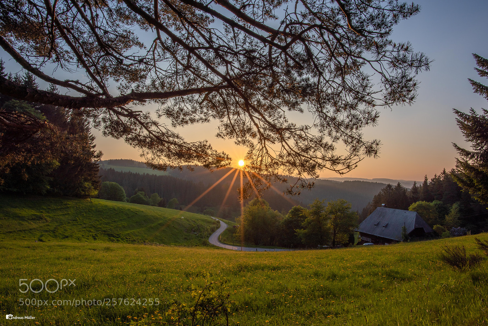 Nikon D810 sample photo. Sunset in the black photography