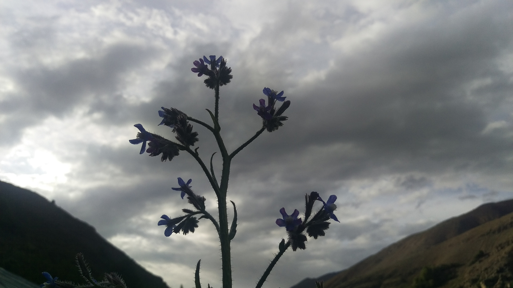 HTC ONE M9 sample photo. Witnessing the storm photography