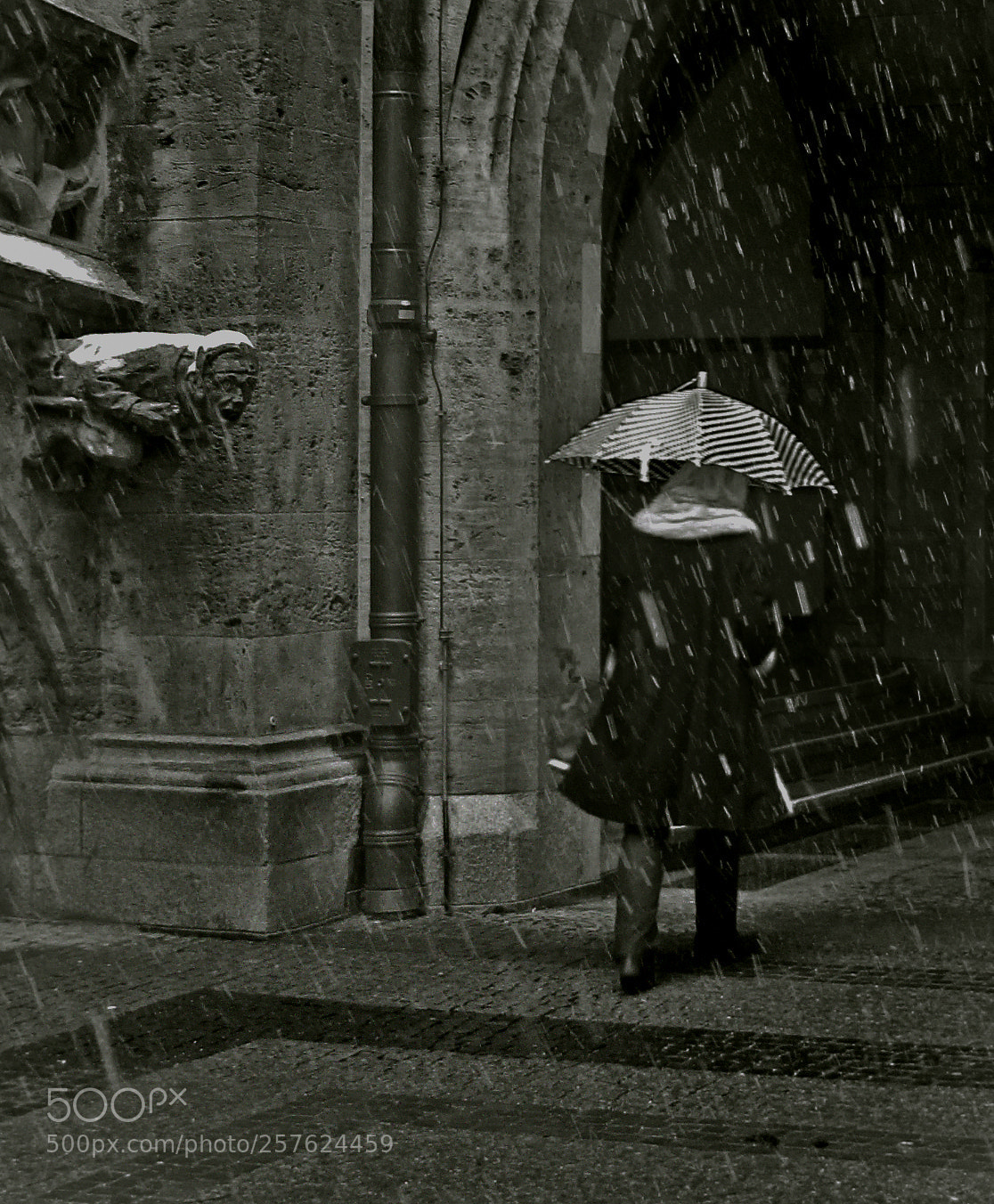 Canon PowerShot G11 sample photo. Wet snow photography