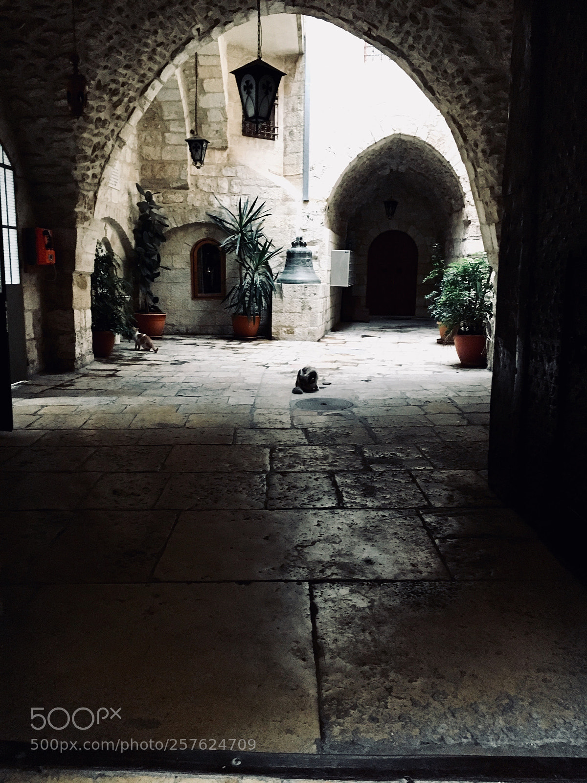 Apple iPhone 6s sample photo. No way out photography
