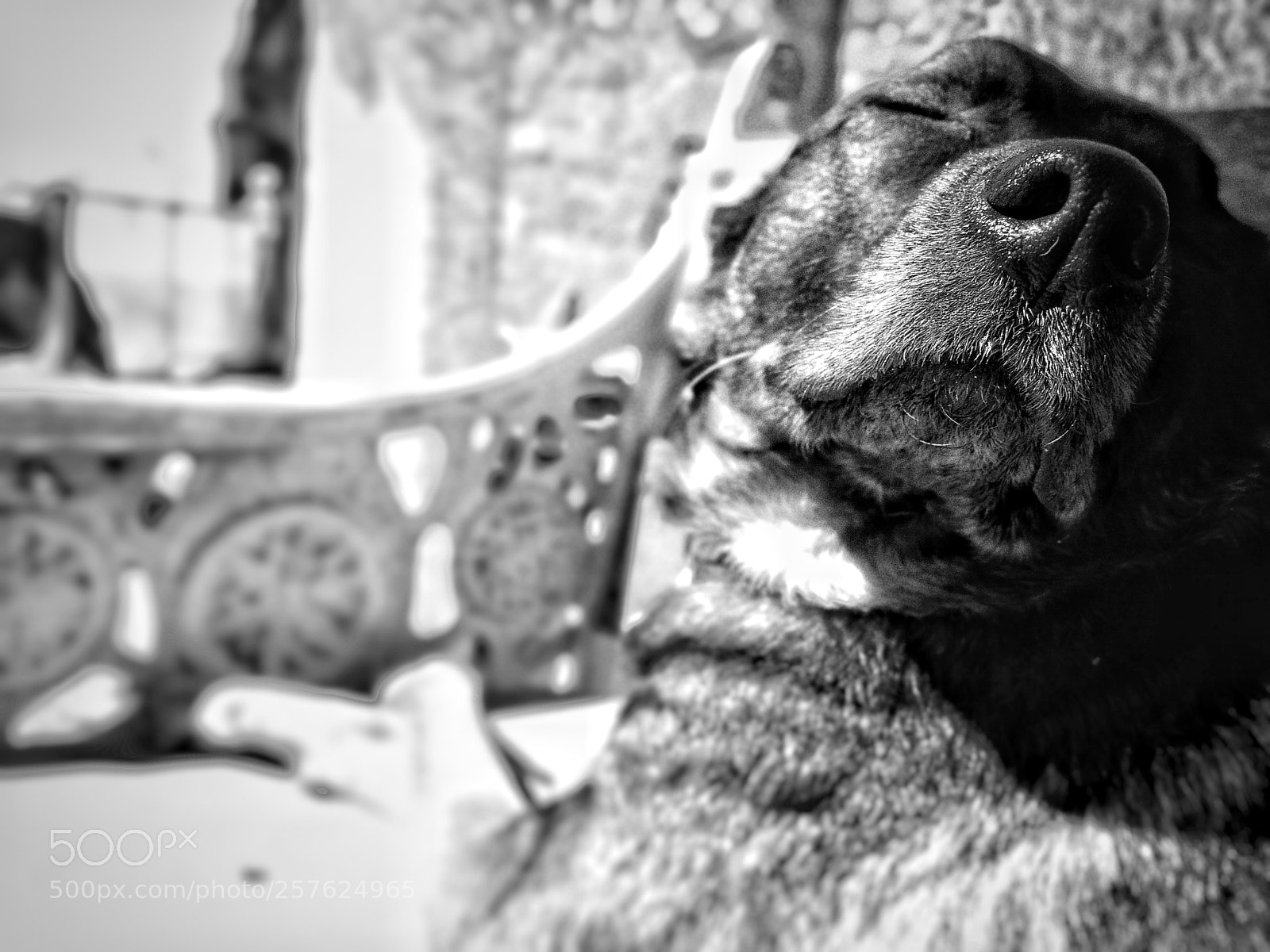 HUAWEI P10 sample photo. Bruce photography