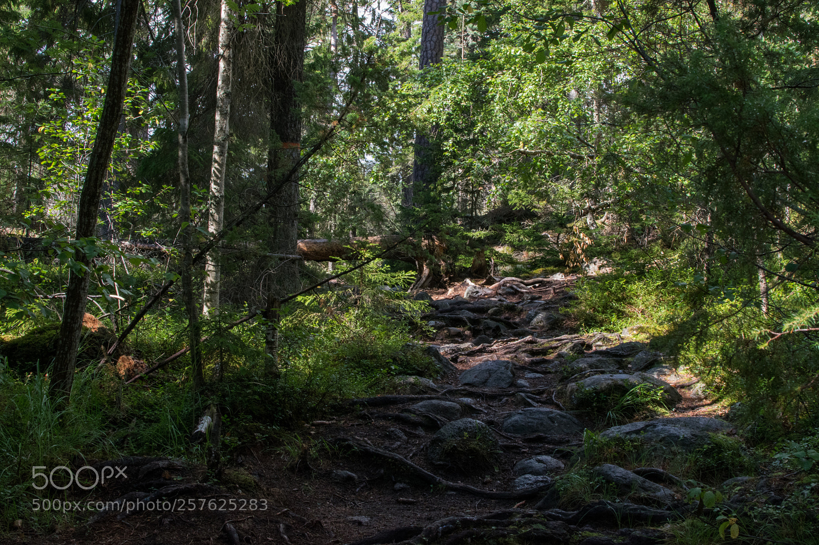 Nikon D3300 sample photo. National park photography