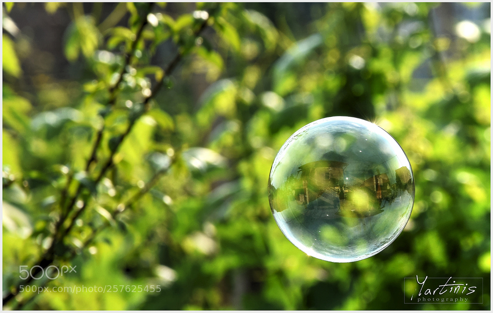 Nikon D5300 sample photo. 石鹸気泡反射 photography