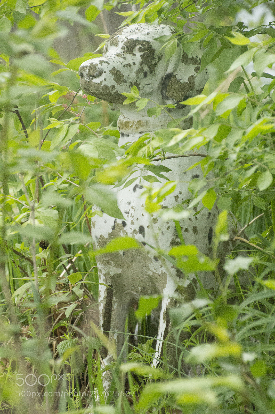 Canon EOS 1200D (EOS Rebel T5 / EOS Kiss X70 / EOS Hi) sample photo. Abandoned lawn onrament. photography