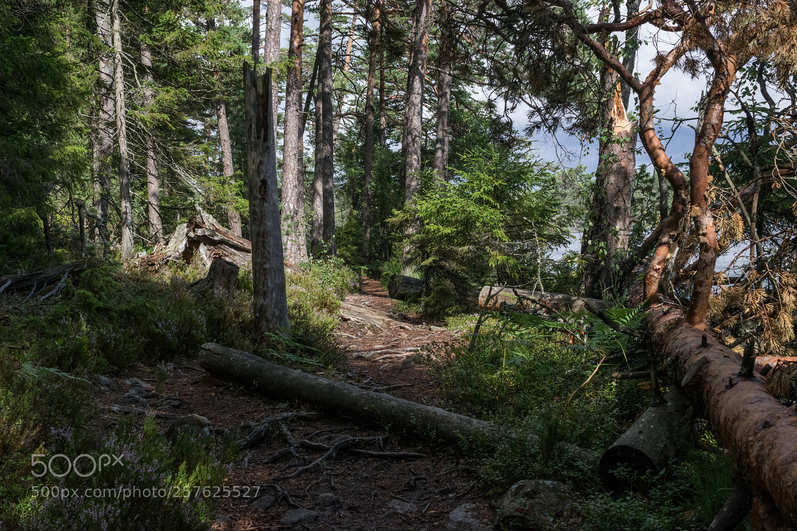 Nikon D3300 sample photo. National park photography