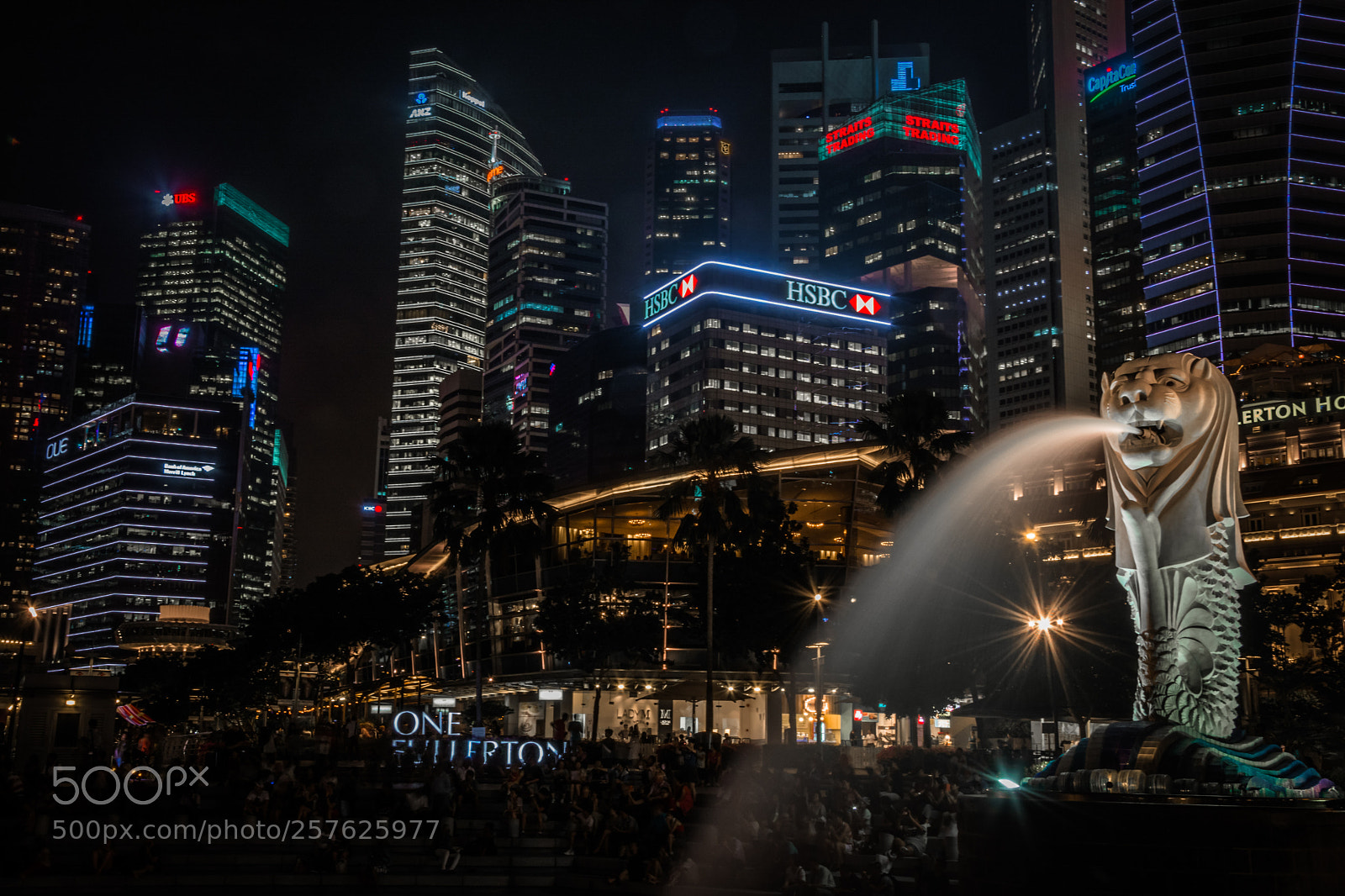 Nikon D7100 sample photo. Singa_night photography