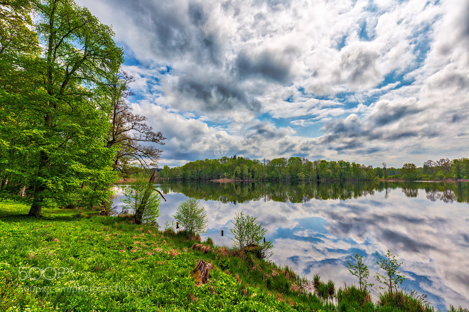 Canon EOS 6D sample photo. Lake tr dg rdssj photography
