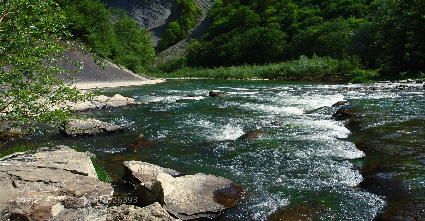Sony DSC-R1 sample photo. Ukrainian carpathian mountains. prut photography