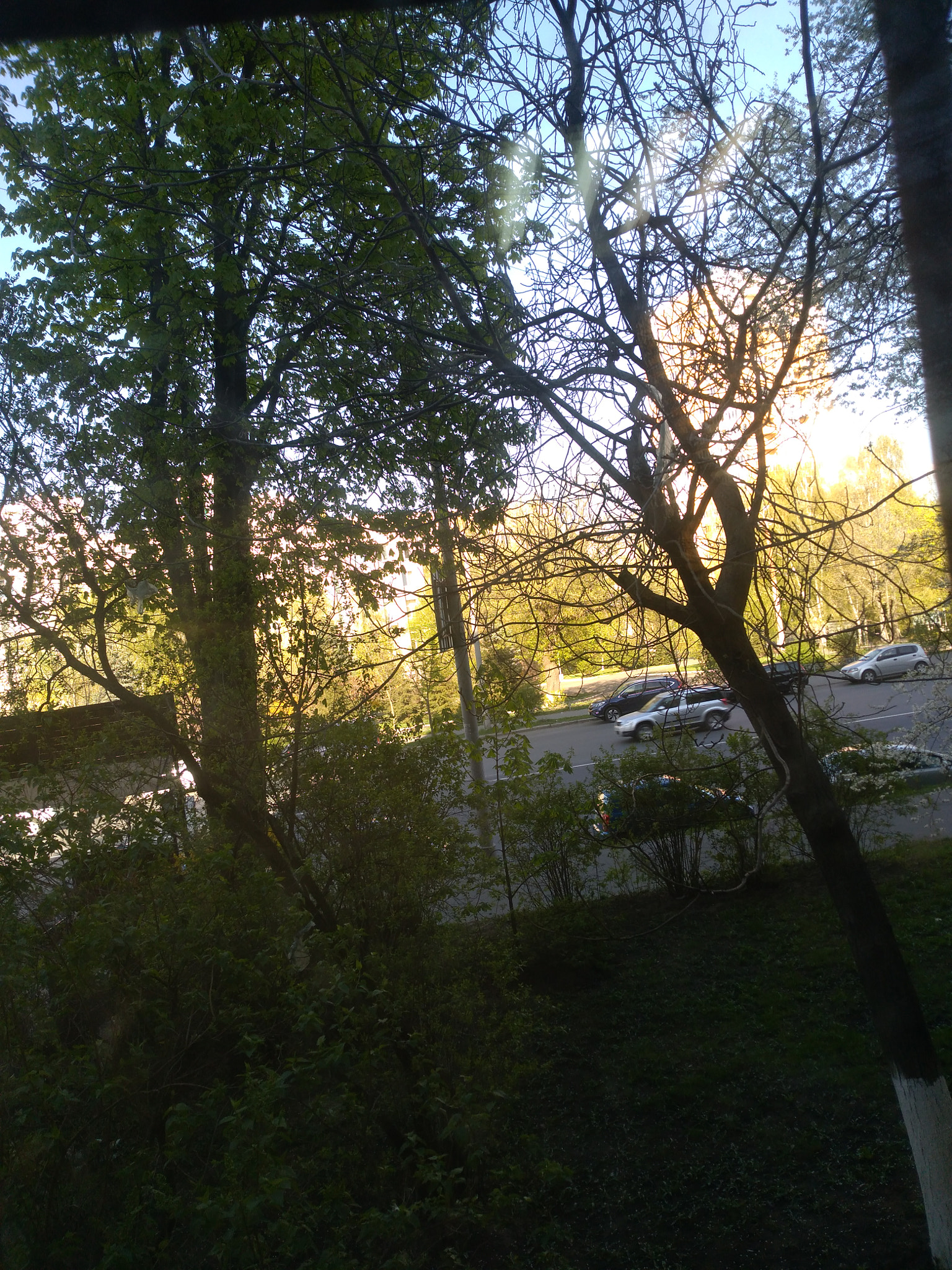 HUAWEI P9 LITE MINI sample photo. Img_20180423_165231.jpg photography