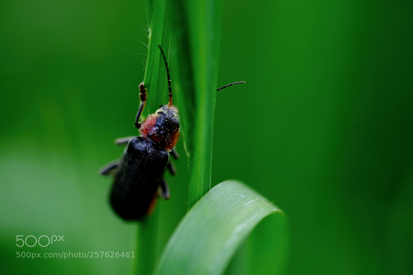 Fujifilm X-T2 sample photo. . photography