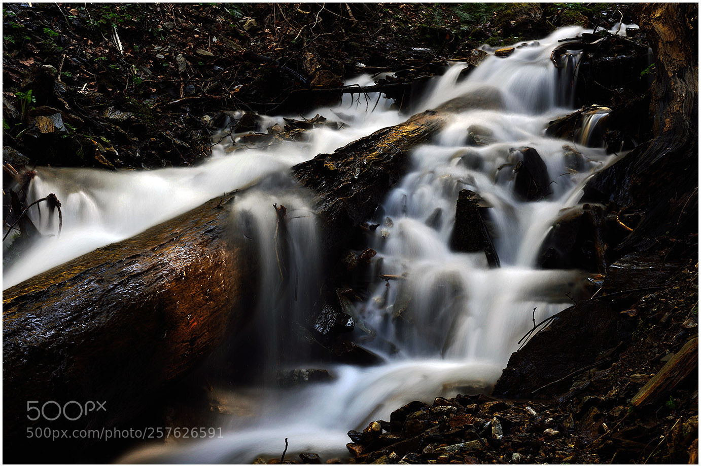Nikon D810 sample photo. Dp photography