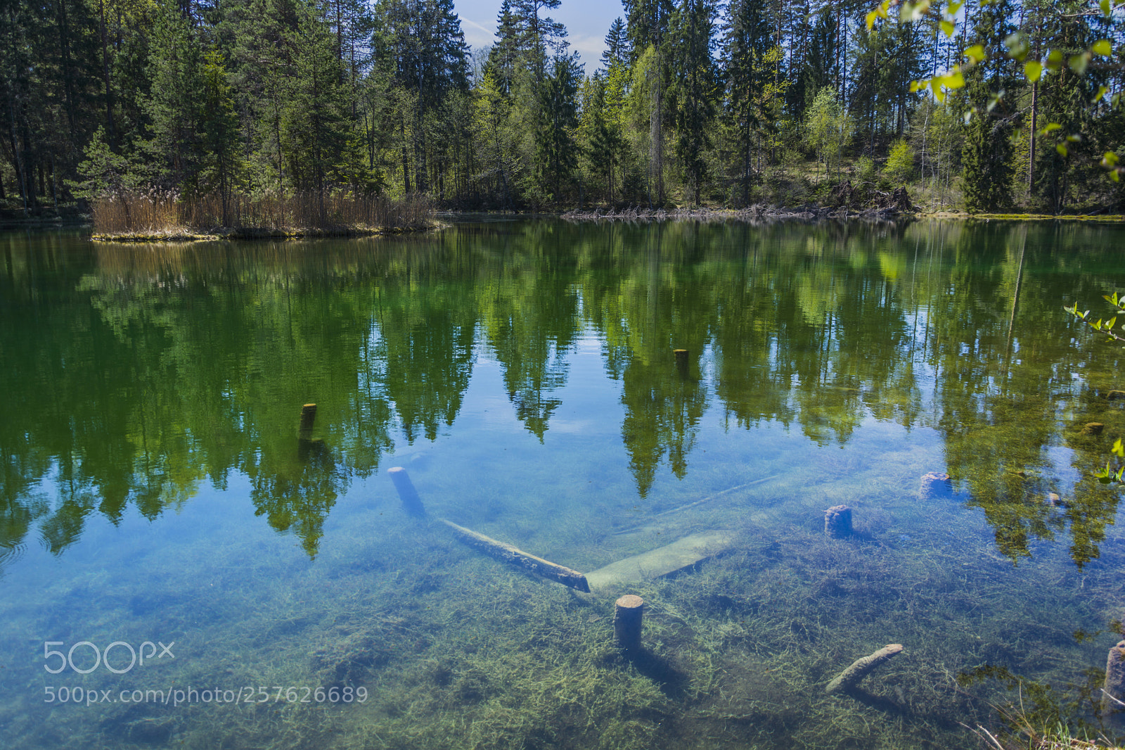 Nikon D7100 sample photo. Clear cold water photography