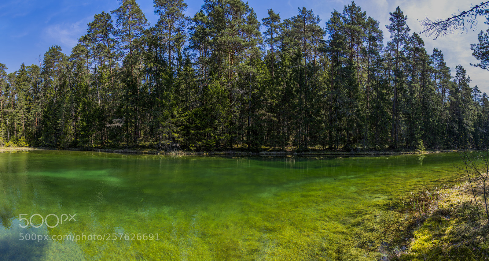 Nikon D7100 sample photo. Beautiful clear water photography