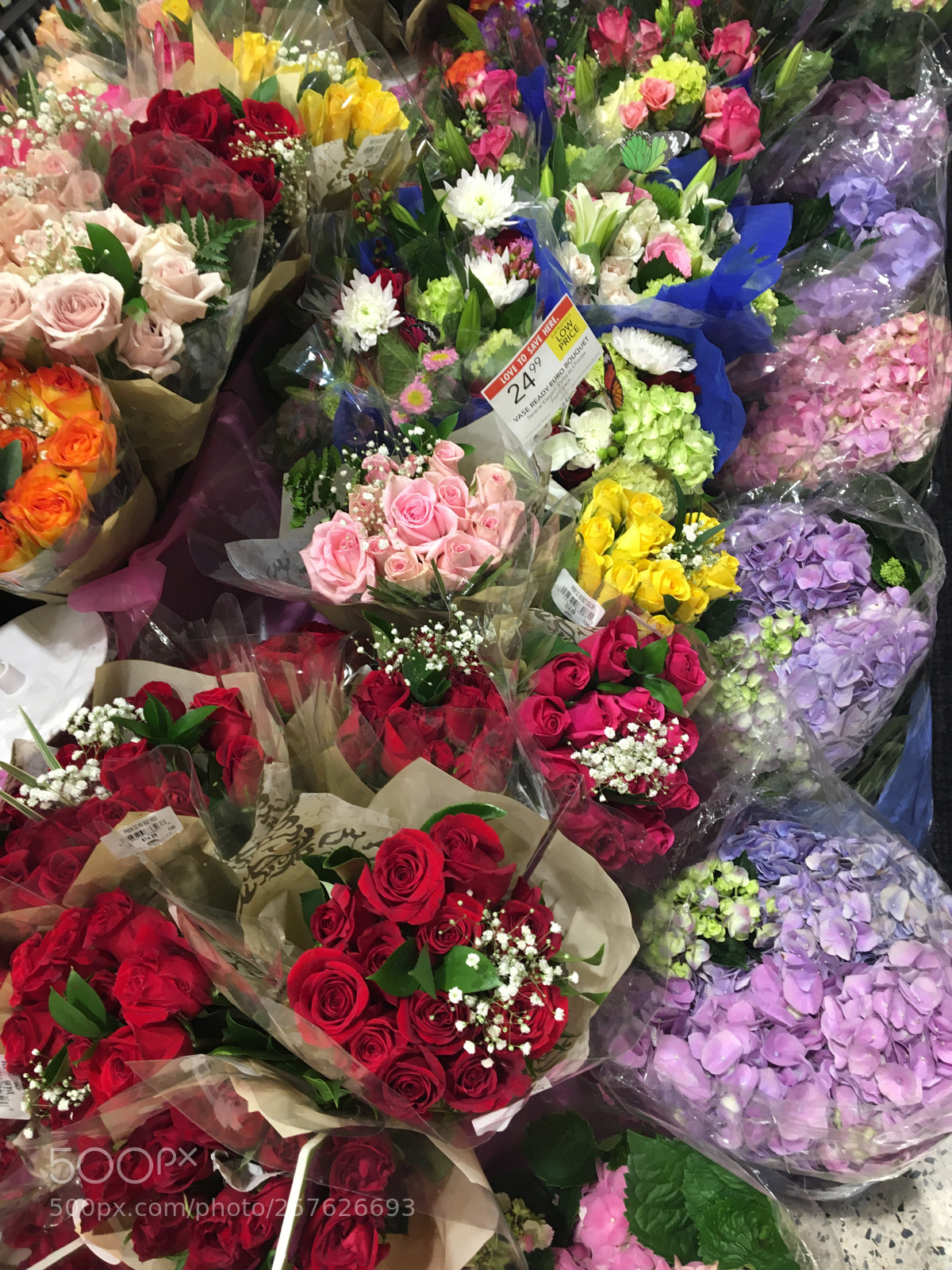 Apple iPhone 6s sample photo. Mothers day  photography