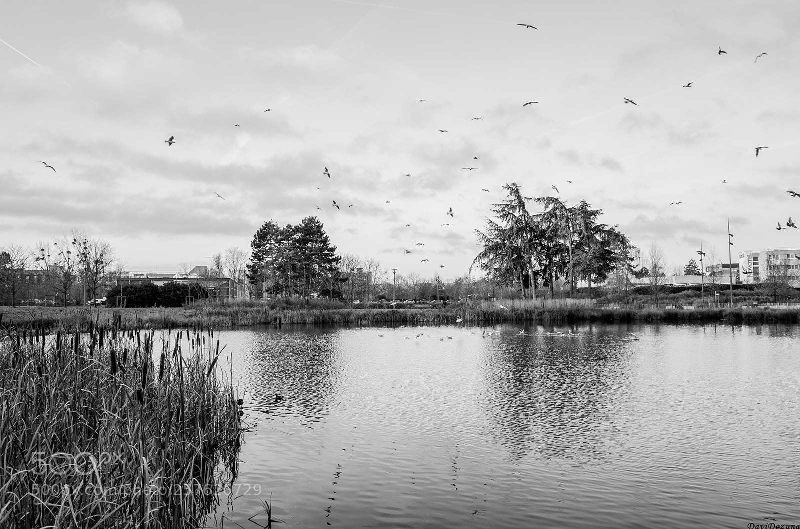 Ricoh GR II sample photo. Cergy, parc de la photography