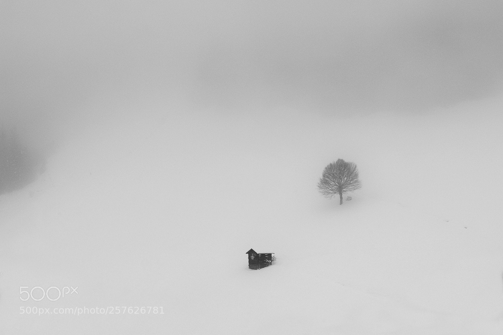 Canon EOS 7D Mark II sample photo. Heavy fog photography
